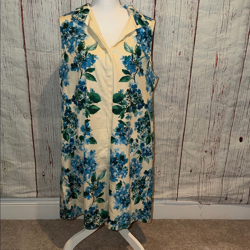 Tuckernuck Blue and Cream Floral Dress